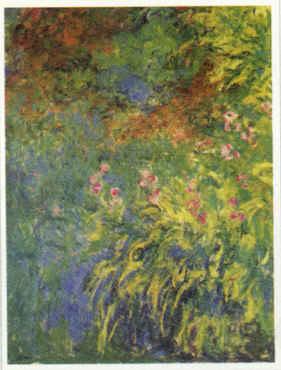 Claude Monet Irises, 1914-17 Spain oil painting art
